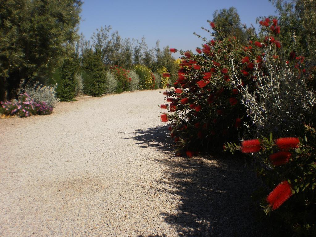 Locanda Degli Etruschi Montalto di Castro Bagian luar foto